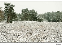 20101202_0062 kopie
